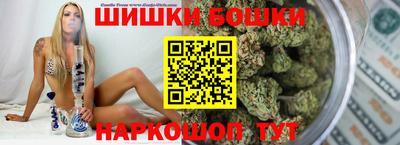 молекула духа Будённовск