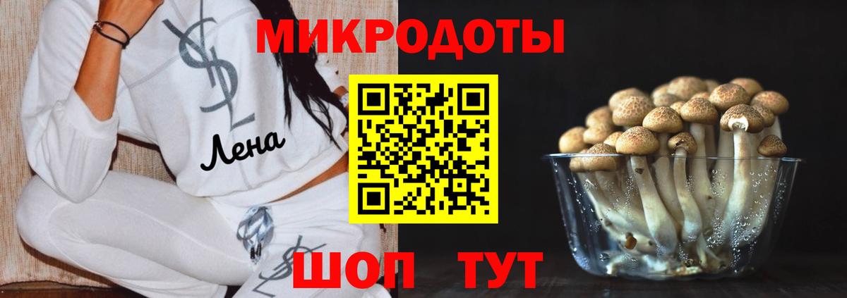 Псилоцибиновые грибы Cubensis Симферополь
